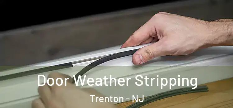 Door Weather Stripping Trenton - NJ