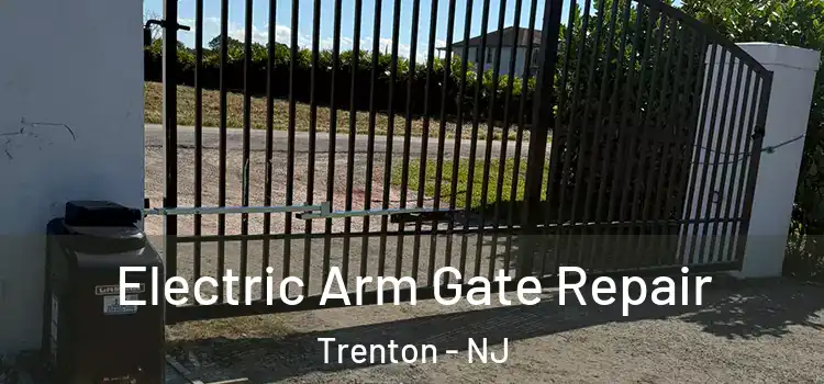 Electric Arm Gate Repair Trenton - NJ