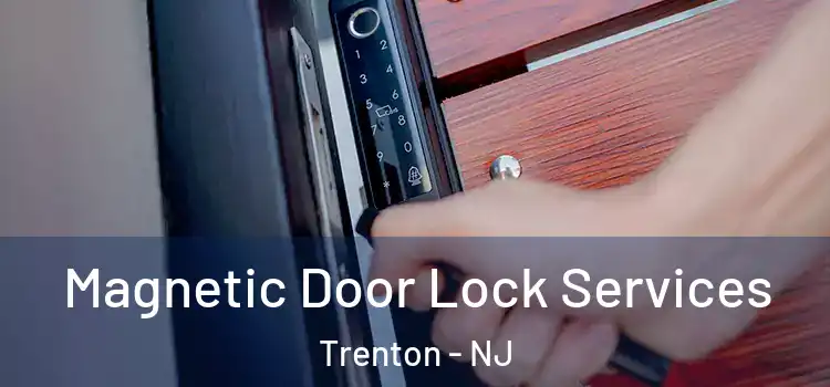 Magnetic Door Lock Services Trenton - NJ