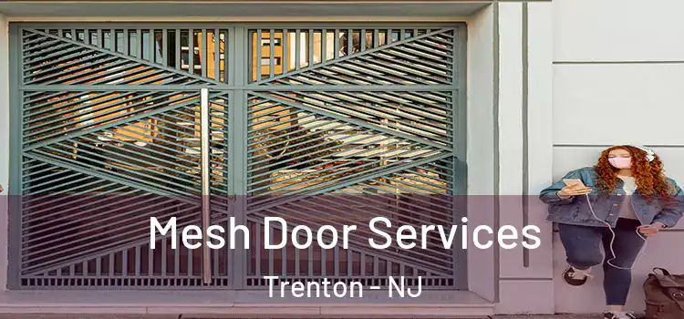 Mesh Door Services Trenton - NJ